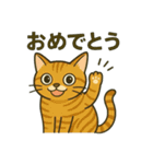 すまし顔の茶トラごあいさつ（個別スタンプ：7）