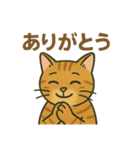 すまし顔の茶トラごあいさつ（個別スタンプ：9）