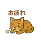 すまし顔の茶トラごあいさつ（個別スタンプ：10）