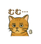 すまし顔の茶トラごあいさつ（個別スタンプ：12）
