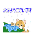 子猫ねこネコ 梅雨～夏（個別スタンプ：1）