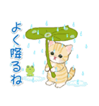 子猫ねこネコ 梅雨～夏（個別スタンプ：5）