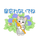子猫ねこネコ 梅雨～夏（個別スタンプ：6）