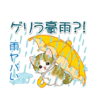 子猫ねこネコ 梅雨～夏（個別スタンプ：8）