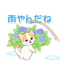 子猫ねこネコ 梅雨～夏（個別スタンプ：9）