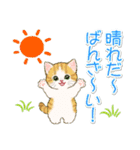子猫ねこネコ 梅雨～夏（個別スタンプ：10）