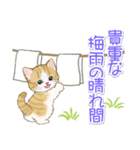 子猫ねこネコ 梅雨～夏（個別スタンプ：11）