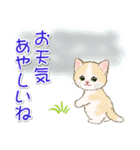 子猫ねこネコ 梅雨～夏（個別スタンプ：12）