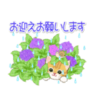 子猫ねこネコ 梅雨～夏（個別スタンプ：13）