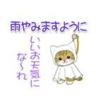 子猫ねこネコ 梅雨～夏（個別スタンプ：16）