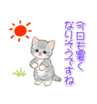 子猫ねこネコ 梅雨～夏（個別スタンプ：18）