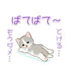 子猫ねこネコ 梅雨～夏（個別スタンプ：20）