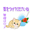 子猫ねこネコ 梅雨～夏（個別スタンプ：23）