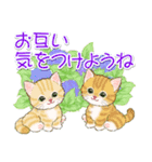 子猫ねこネコ 梅雨～夏（個別スタンプ：24）
