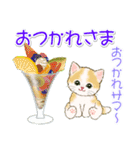 子猫ねこネコ 梅雨～夏（個別スタンプ：25）