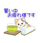 子猫ねこネコ 梅雨～夏（個別スタンプ：26）