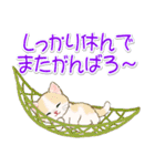 子猫ねこネコ 梅雨～夏（個別スタンプ：28）