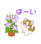 子猫ねこネコ 梅雨～夏（個別スタンプ：31）