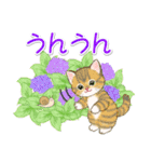 子猫ねこネコ 梅雨～夏（個別スタンプ：32）