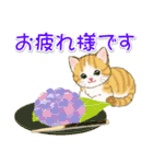 子猫ねこネコ 梅雨～夏（個別スタンプ：33）
