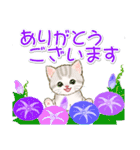 子猫ねこネコ 梅雨～夏（個別スタンプ：34）