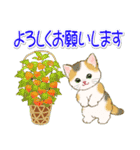 子猫ねこネコ 梅雨～夏（個別スタンプ：35）