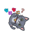 猫のアンナのシンプルスタンプ（個別スタンプ：1）