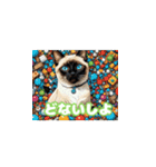 関西弁で短く思いを伝えるねこ（個別スタンプ：1）