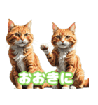 関西弁で短く思いを伝えるねこ（個別スタンプ：2）