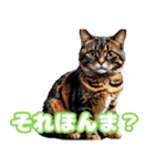 関西弁で短く思いを伝えるねこ（個別スタンプ：3）