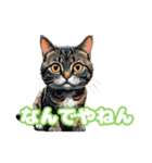 関西弁で短く思いを伝えるねこ（個別スタンプ：13）