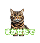 関西弁で短く思いを伝えるねこ（個別スタンプ：16）