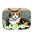 関西弁で短く思いを伝えるねこ（個別スタンプ：17）