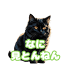 関西弁で短く思いを伝えるねこ（個別スタンプ：22）