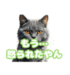 関西弁で短く思いを伝えるねこ（個別スタンプ：23）