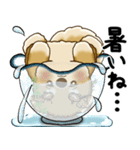新・柴犬さん 2025 「夏です」（個別スタンプ：6）