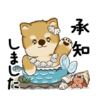新・柴犬さん 2025 「夏です」（個別スタンプ：16）