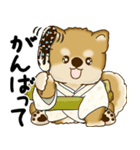 新・柴犬さん 2025 「夏です」（個別スタンプ：17）
