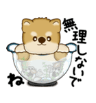 新・柴犬さん 2025 「夏です」（個別スタンプ：18）