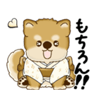新・柴犬さん 2025 「夏です」（個別スタンプ：19）