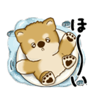 新・柴犬さん 2025 「夏です」（個別スタンプ：20）