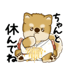 新・柴犬さん 2025 「夏です」（個別スタンプ：22）