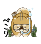 新・柴犬さん 2025 「夏です」（個別スタンプ：26）