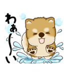 新・柴犬さん 2025 「夏です」（個別スタンプ：27）