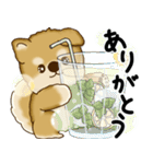 新・柴犬さん 2025 「夏です」（個別スタンプ：28）