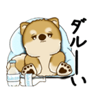 新・柴犬さん 2025 「夏です」（個別スタンプ：30）