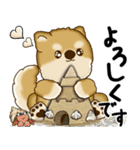 新・柴犬さん 2025 「夏です」（個別スタンプ：31）