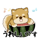 新・柴犬さん 2025 「夏です」（個別スタンプ：32）