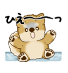 新・柴犬さん 2025 「夏です」（個別スタンプ：33）
