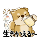 新・柴犬さん 2025 「夏です」（個別スタンプ：36）